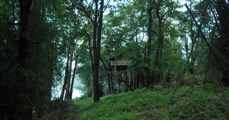 parambikulam-island–12 parambikulam-island–12