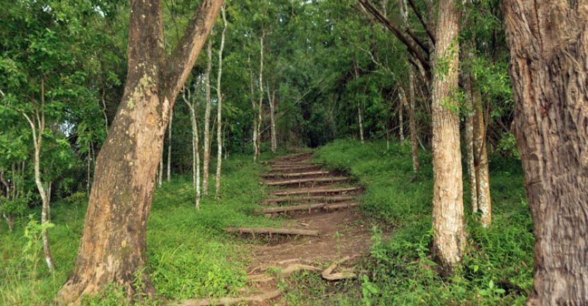 parambikulam-island–8 parambikulam-island–8
