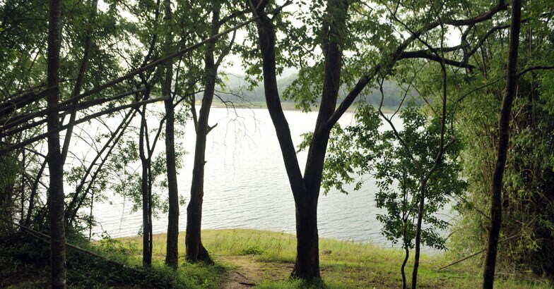 parambikulam-island–9 parambikulam-island–9