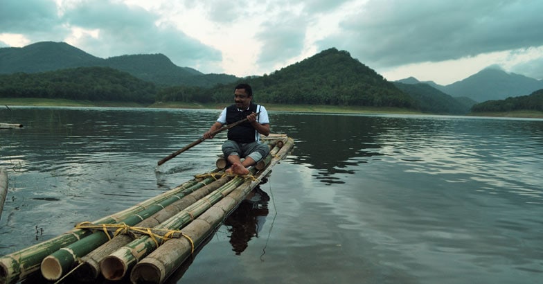 parambikulam25 parambikulam25