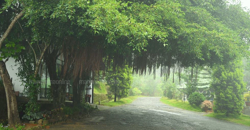 ponmudi-travel2 ponmudi-travel2