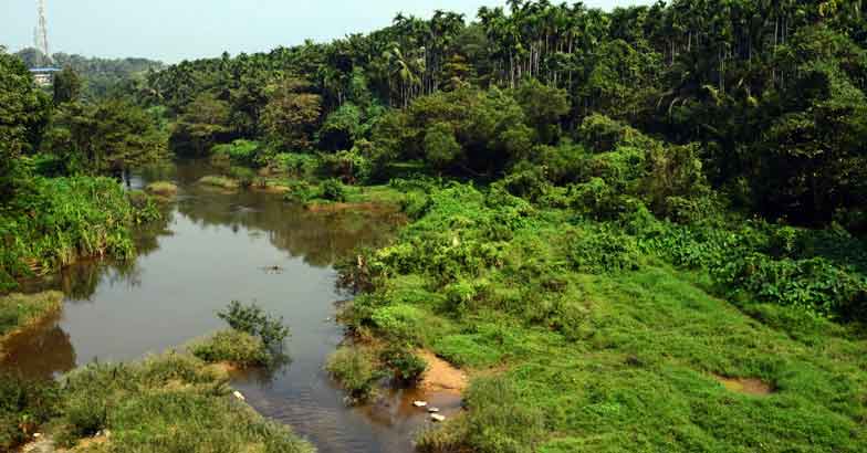 10nilapmbu_0975_27 10nilapmbu_0975_27