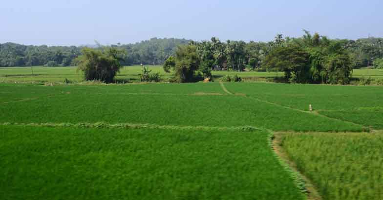 6nilapmbu_0392_8 6nilapmbu_0392_8