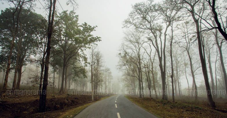 wydkodaguroad.jpg.image.784.410 wydkodaguroad.jpg.image.784.410