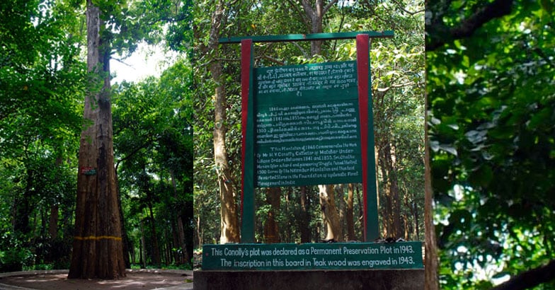 Nilambur-trip2 Nilambur-trip2