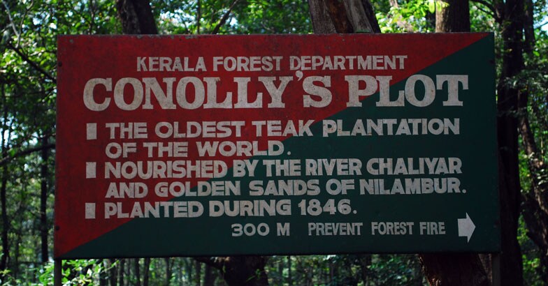 Nilambur-trip3 Nilambur-trip3
