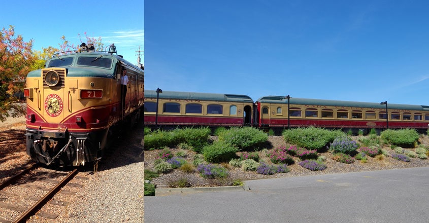 napa-train napa-train