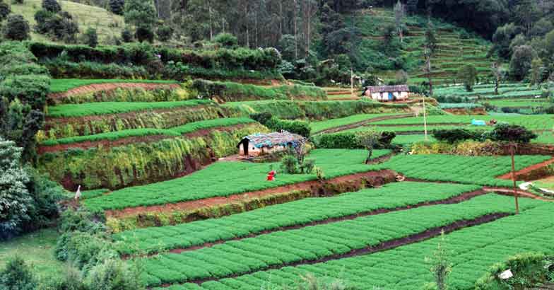 8OOty 8OOty