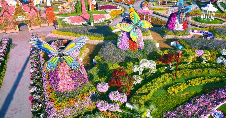 miracle-garden miracle-garden