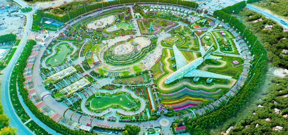 dubai-miracle-garden-new dubai-miracle-garden-new