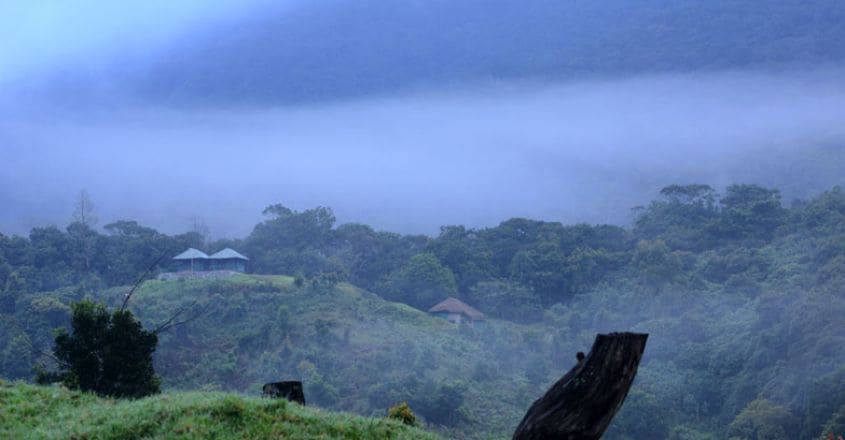 B7പാന്പാടുംചോലയിലെ-മരവീടുകൾ