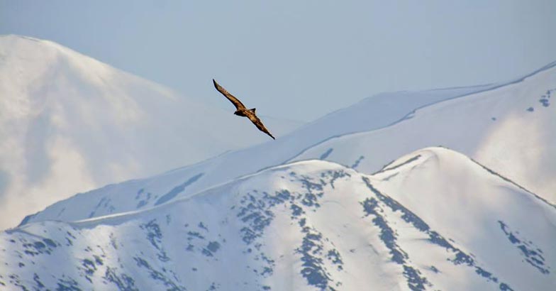 gulmurg-new gulmurg-new