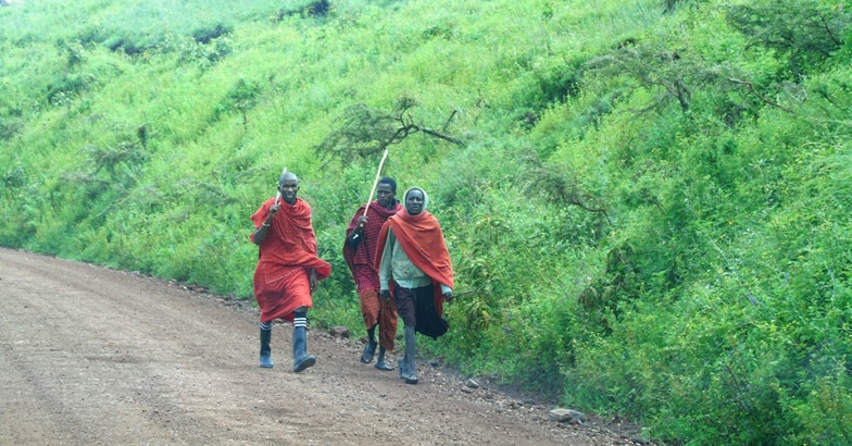 african-safari12 african-safari12