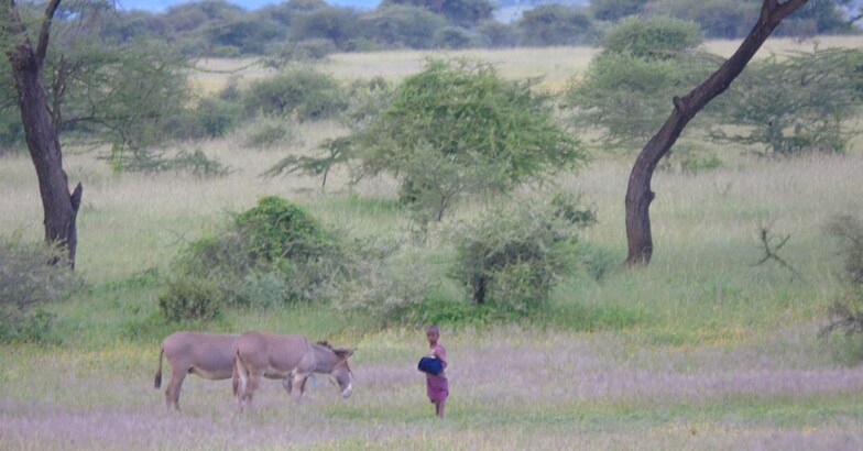 african-safari7 african-safari7