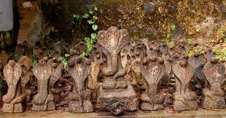 ഗരുഡൻകാവ് ക്ഷേത്രം ഗരുഡൻകാവ് ക്ഷേത്രം