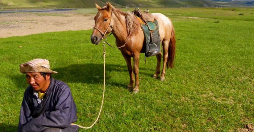 A man's best friend in Mongolia is his horse