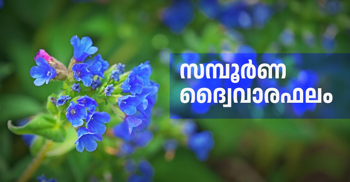 സമ്പൂർണ ദ്വൈവാര നക്ഷത്രഫലം : കാണിപ്പയ്യൂർ– Bi Weekly Prediction ...