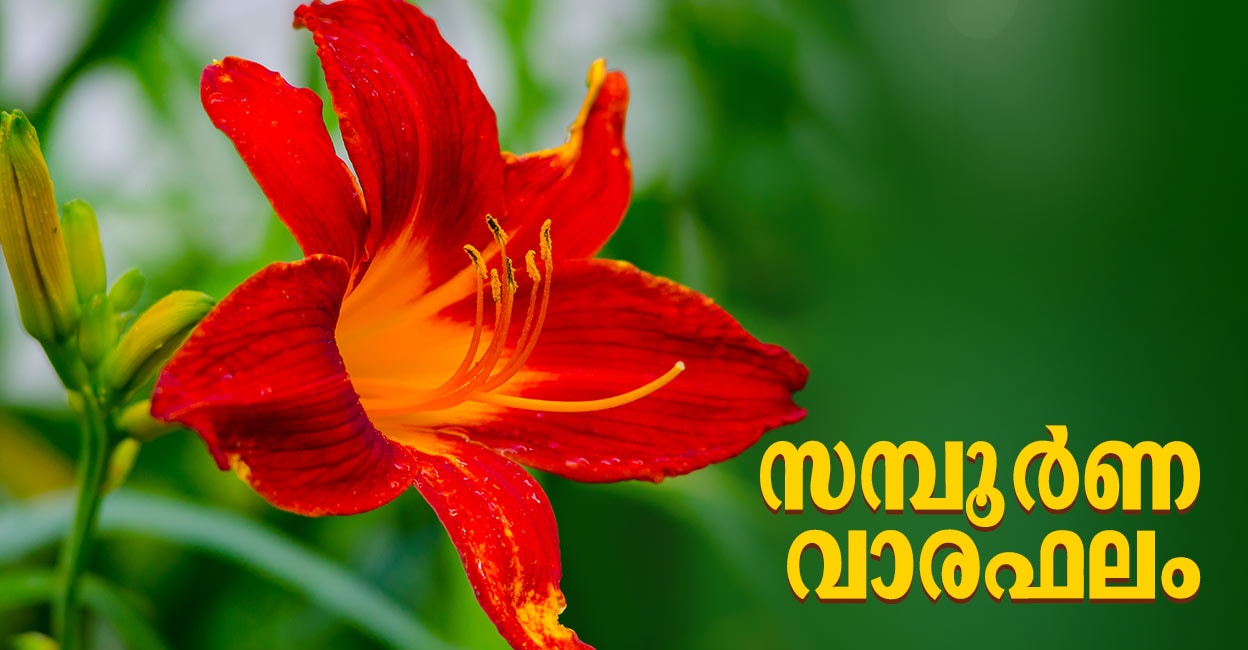 സമ്പൂർണ വാരഫലം (2025 ജൂൺ 29 മുതൽ ജൂലൈ 5 വരെ) Your Weekly Horoscope