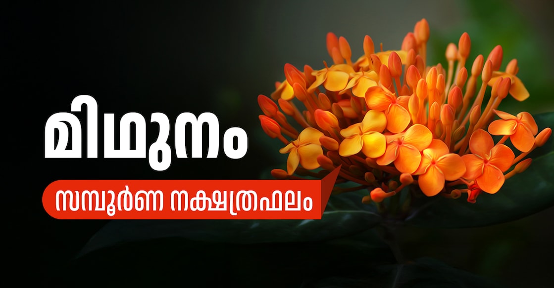 മിഥുനം മുതൽ ഈ നാളുകാർക്ക് വൻ നേട്ടങ്ങൾ, സമ്പൂർണ മാസഫലം - Monthly ...