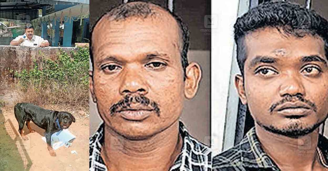 Dist Rott Stri മോഷണക്കേസിൽ അച്ഛനും മകനും അകത്തായി; റോട്വീലർ പുറത്തായി: താമസക്കാർക്ക് ...