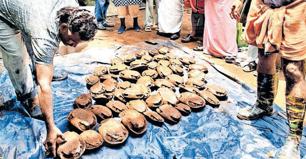 കിണർ നിറയെ ആമകളുടെ നീരാട്ട്..! കിണറ്റിൽ കണ്ടെത്തിയത് 53 ആമകളെ | 53 ...