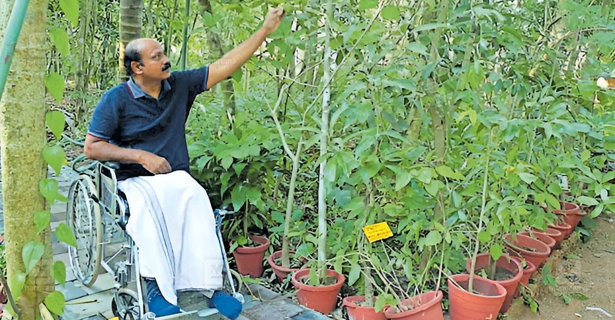 On a wheelchair, Mustafa delivers right care for endangered medicinal plants