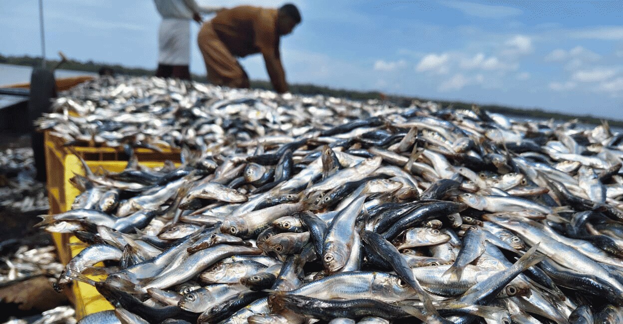 സ്പെഷ്യൽ സ്റ്റോറീസ് ✍ - ShareChat