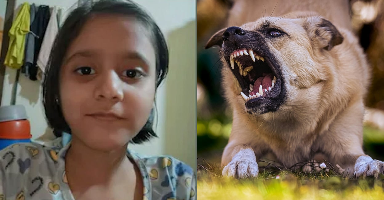 Problem Child Rabies കുത്തിവയ്പ്പിനോട് ഭയം, 9 വയസ്സുകാരിക്ക് ദാരുണാന്ത്യം! ഈ രോഗ ലക്ഷണങ്ങ ...