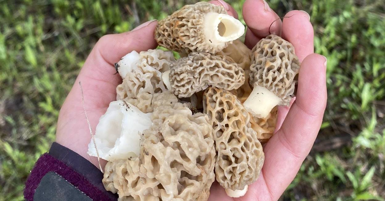 🆕 ഇന്നത്തെ അപ്ഡേറ്റ്സ് - ShareChat