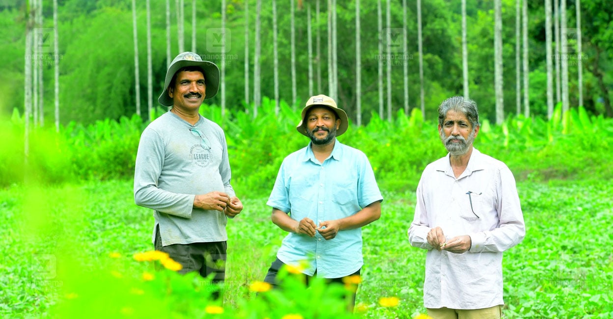 From paddy fields to classrooms of nature: How three friends turned a Wayanad plot into an ecological haven