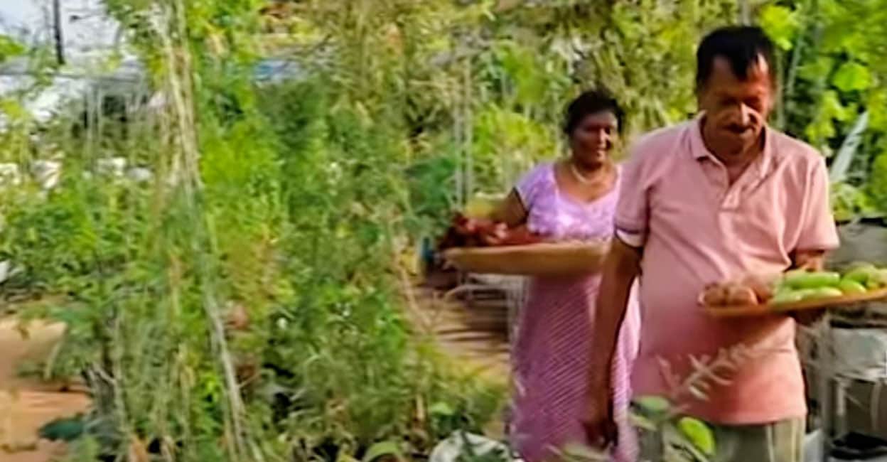 Septuagenarian couple creates green sanctuary in the heart of Kochi