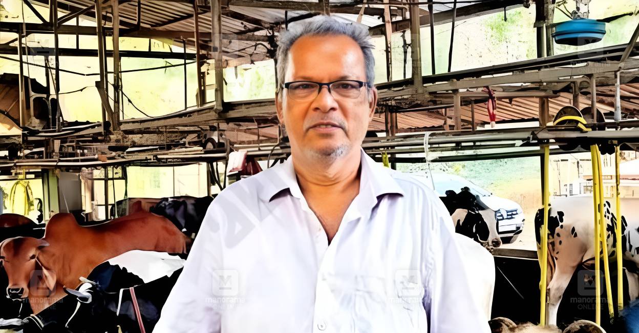 കിലോയ്ക്ക് 26 രൂപ, കുറഞ്ഞ ചെലവിൽ പശുക്കൾക്ക് ഗുണമേന്മയുള്ള ഹോം മെയ്ഡ് ...