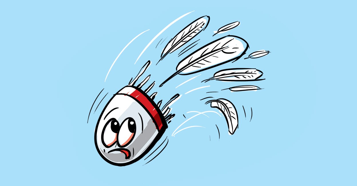 ചൈനയിലും ജപ്പാനിലും വാത്തകളുടെ തൂവലുകൾക്കു കടുത്ത ക്ഷാമം; ഷട്ടിൽ കോക്ക് നിർമാണം വൻ പ്രതിസന്ധിയിലേക്ക്