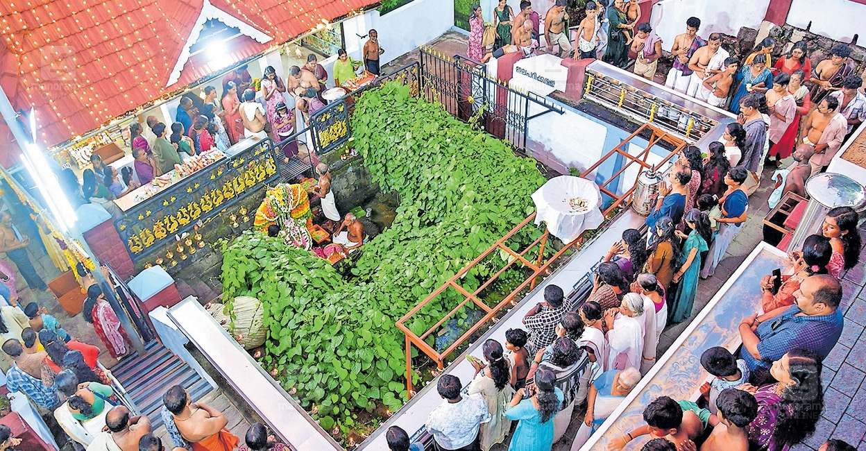 അക്ഷരങ്ങളുടെ ലോകത്തേക്ക് കുരുന്നുകൾ; വിദ്യാരംഭത്തിന് ഒരുങ്ങി ക്ഷേത്രങ്ങളും സാംസ്കാരിക കേന്ദ്രങ്ങളും