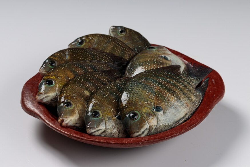 2119242674 Fresh raw Kari meen_Pearl spot fish arranged in an earthenware.