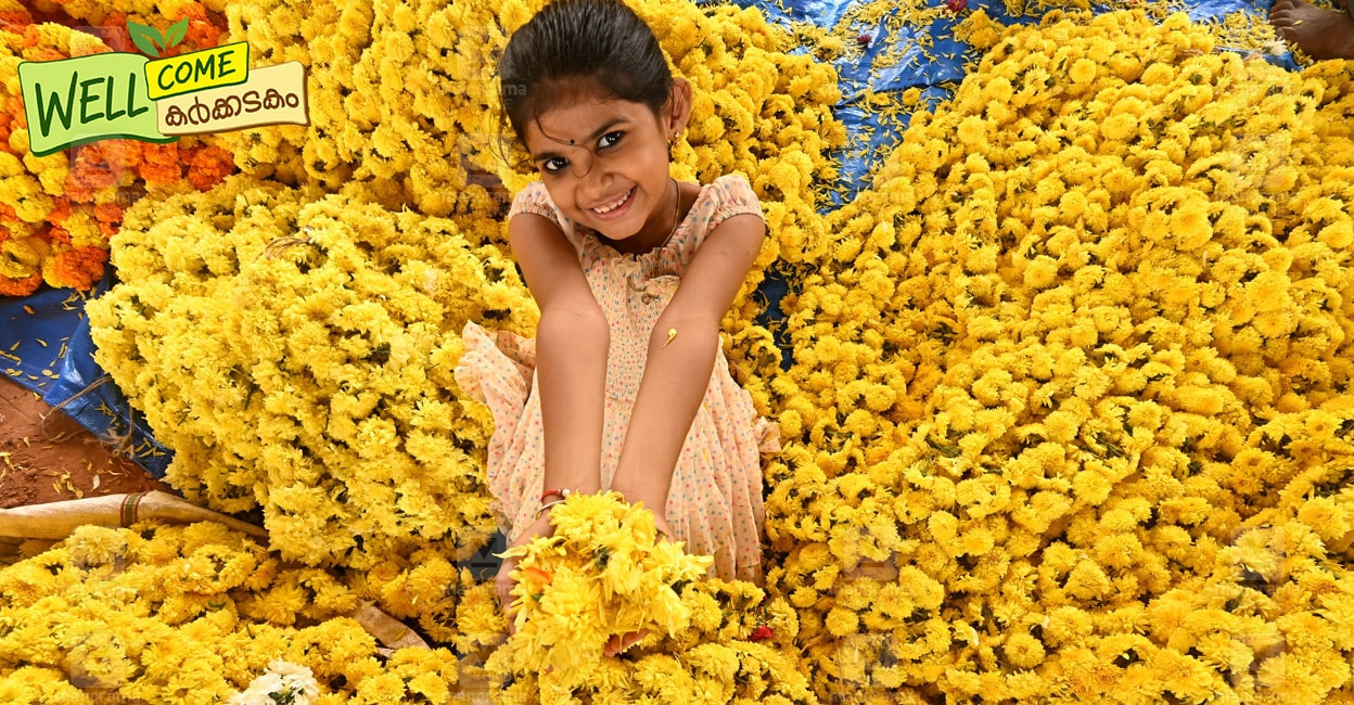 കർക്കടകചര്യകൾ ഫലിച്ചെന്ന് എങ്ങനെ ഉറപ്പിക്കാം?