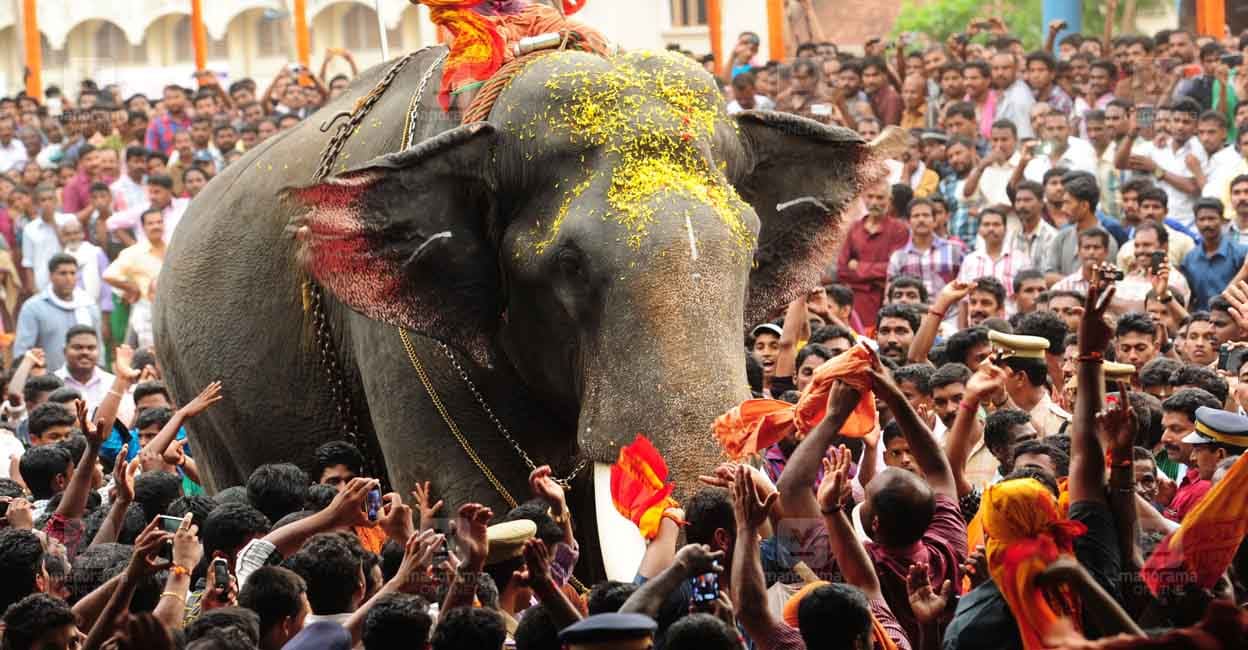 മഹീന്ദ്ര ജീപ്പിലെത്തിയ രണ്ടര വയസ്സുകാരൻ ആനക്കുട്ടി; മദപ്പാടിലും ലീലാമ്മയെ അനുസരിക്കുന്ന ‘അപ്പൂസ്’: ആനക്കേരളത്തിന്റെ രാജാധിരാജൻ