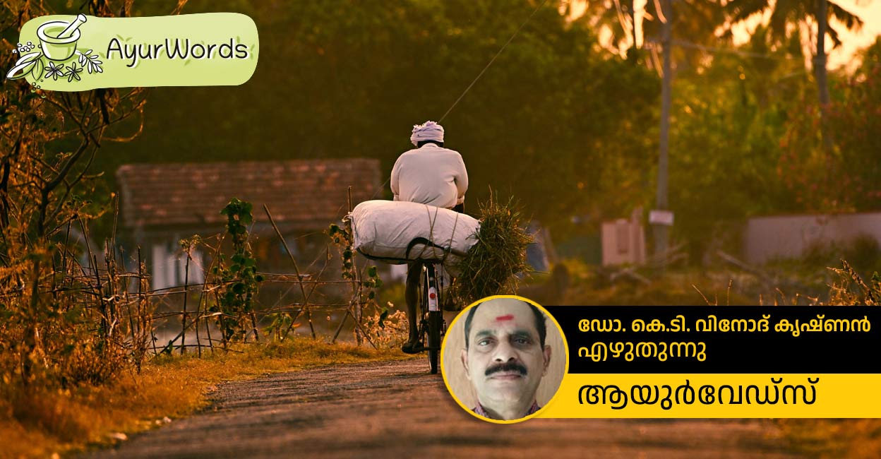 പൊലീസിന്റെയും കാമുകന്മാരുടെയും ‘ആരോഗ്യം'  കൂട്ടിയ സൈക്കിൾ! രക്തം തിരിച്ചുകയറ്റും, സന്ധികൾ ബലപ്പെടുത്തും; സ്ഥിരമായാൽ ഈ രോഗങ്ങളും വരാം