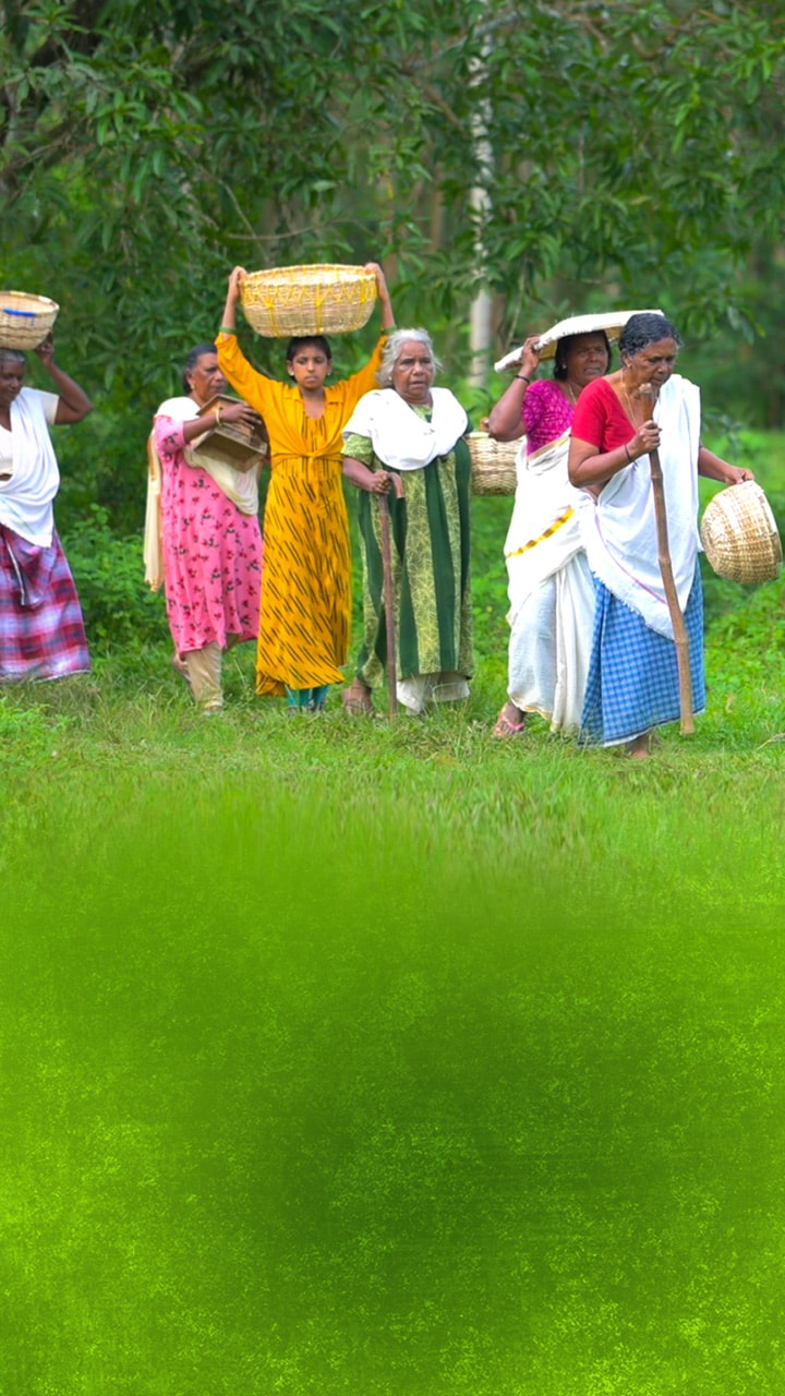 പാട്ടും കുട്ടനെയ്ത്തുമായി ഒരുകൂട്ടം മനുഷ്യർ