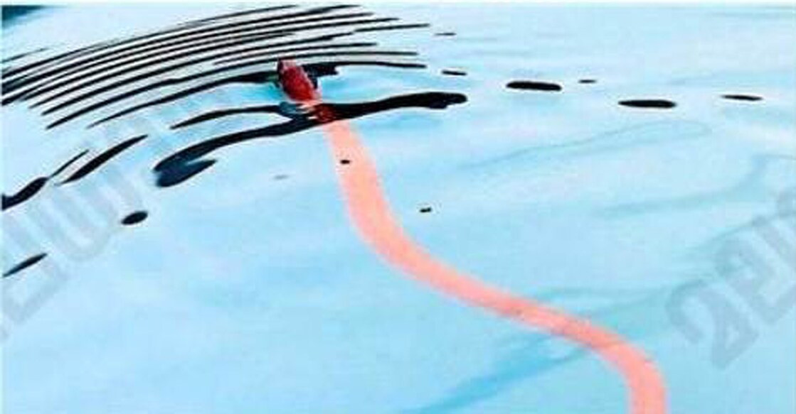 പിരപ്പൻകോട് അക്വാറ്റിക് കോംപ്ലക്സിൽ ഡൈവിങ് പൂളിൽ കണ്ടെത്തിയ പാമ്പ്.