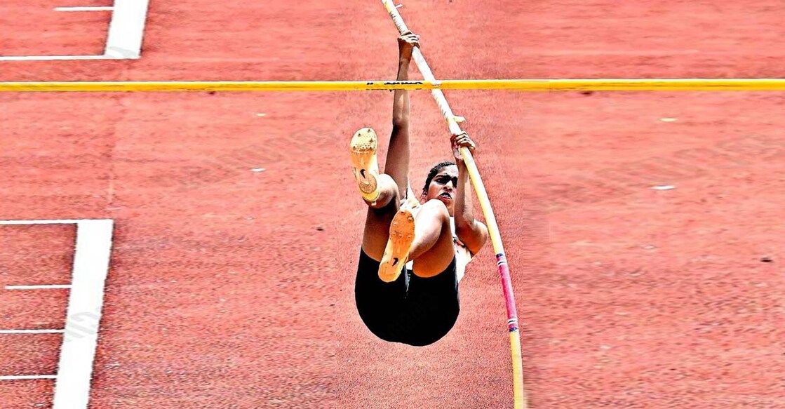 എമി ട്രീസ ജിജി