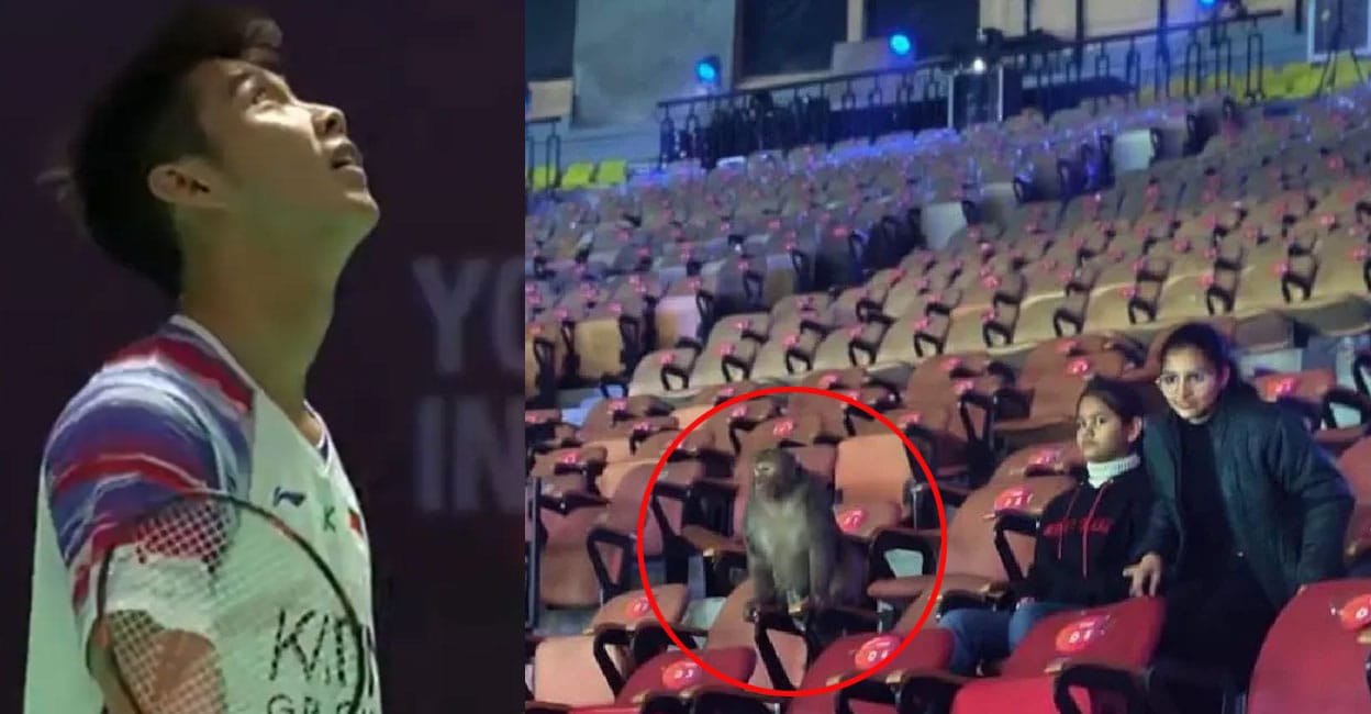 മത്സരത്തിനിടെ കോർട്ടിൽ പക്ഷി കാഷ്ഠിച്ചു, കളി കാണാൻ കുരങ്ങ്; ഡൽഹിയിലെ ഇന്ത്യ ഓപ്പൺ വേദി പരിശോധിച്ച് ബിഡബ്ല്യുഎഫ്