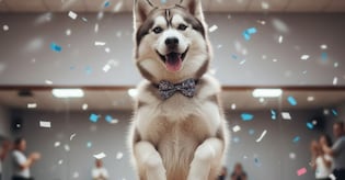 더 읽어보기 Instagram에서 무슨 일이 일어났나요?     더 읽어보기 Instagram에서 무슨 일이 일어났나요?