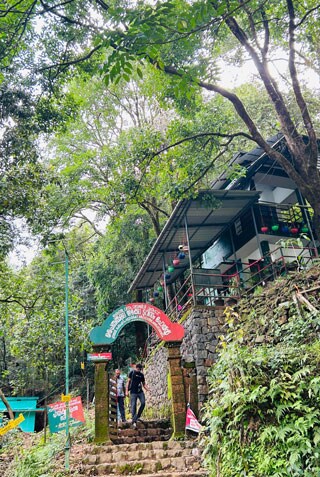 ഇത് മലമുകളിലെ സുന്ദരി, അപ്പുറത്ത് കോടമഞ്ഞിൽ പുതച്ച പൈതൽമല - കാപ്പിമല