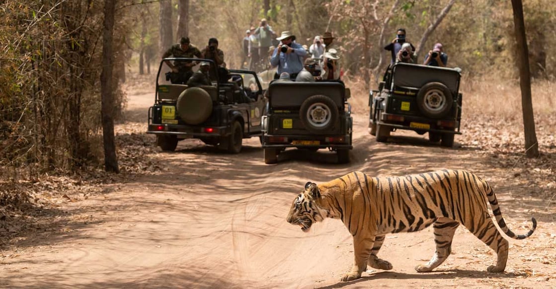 1472923871 Image Credit:Sourabh Bharti/istockphoto