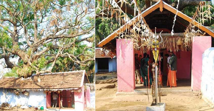 apasmara-kovil-3 apasmara-kovil-3