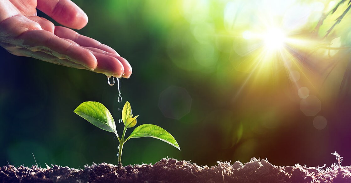 Photo Credit : Romolo Tavani / Shutterstock.com