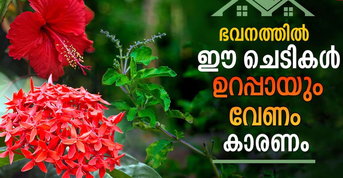 garden-vasthu garden-vasthu