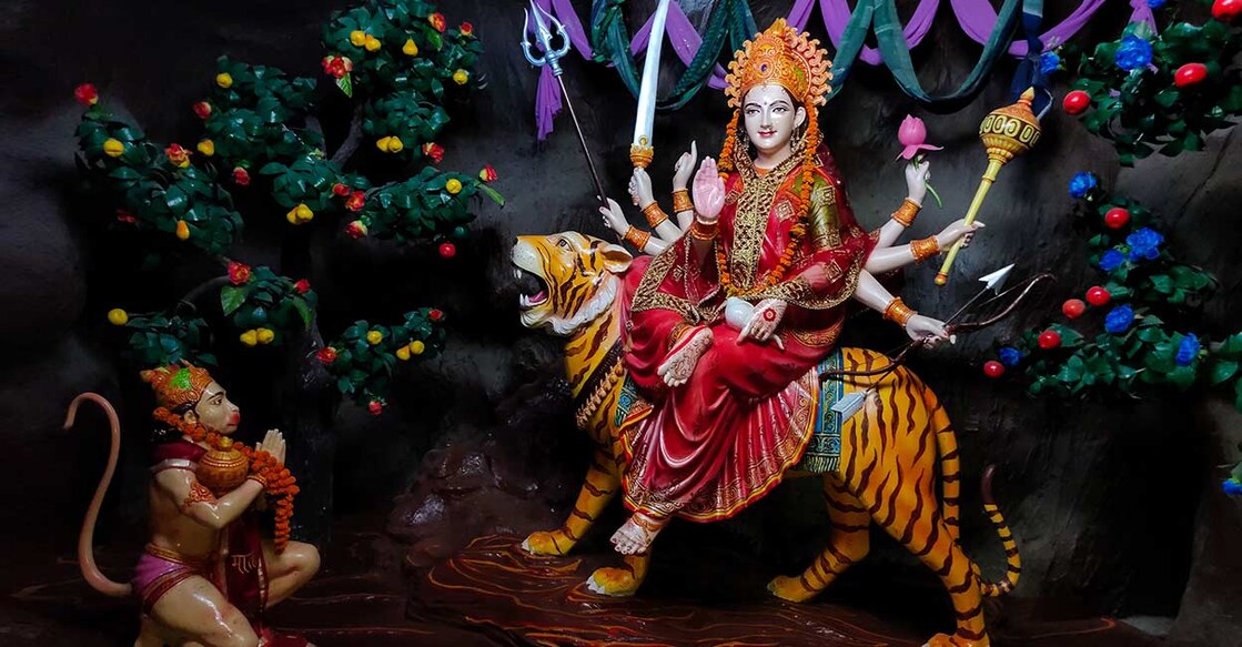 Image Credit: Sanket_Mishra/ Shutterstock