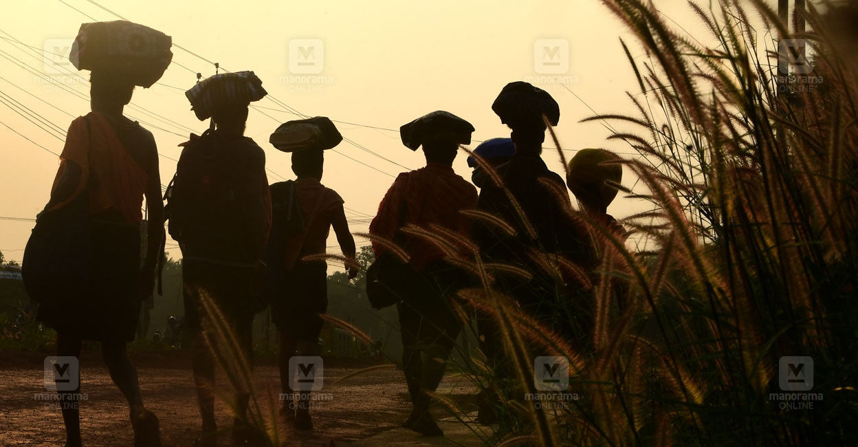 രക്തബന്ധത്തിൽ പെട്ടവർ മരിച്ചാൽ ഒരു വർഷം കഴിയാതെ ശബരിമലയിൽ പോകാമോ?